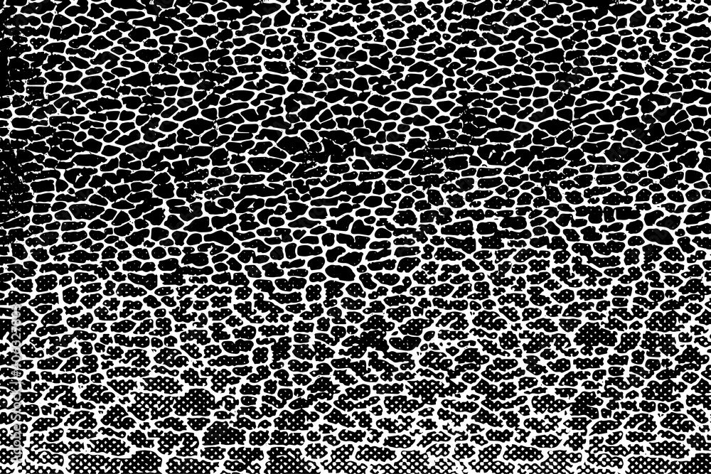 Black and white background. Monochrome grunge background. Abstract texture of dirt, dust, blots, chips. Dirty dirty surface Black and white background. Monochrome grunge background. Abstract texture of dirt, dust, blots, chips. Dirty dirty surface