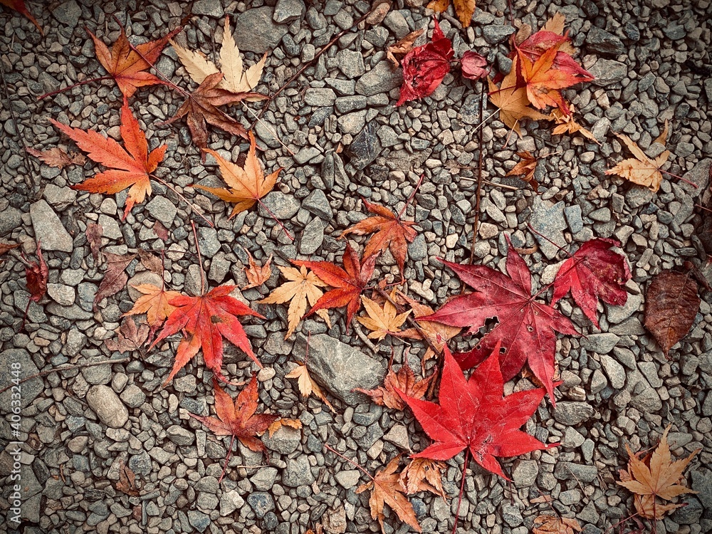 Beautiful Autumn Leaves in Kyoto Japan Beautiful Autumn Leaves in Kyoto Japan
