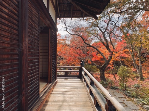 Beautiful Autumn Leaves in Kyoto Japan