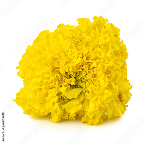 Bouquets of fresh yellow marigolds isolated on white background