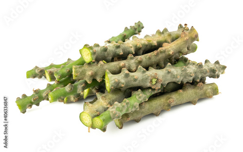 Tinospora crispa or Heart leaved moonseed, Tinospora cordifolia (Menispermaceae) isolated on white background.Medicinal properties help treat diseases. photo