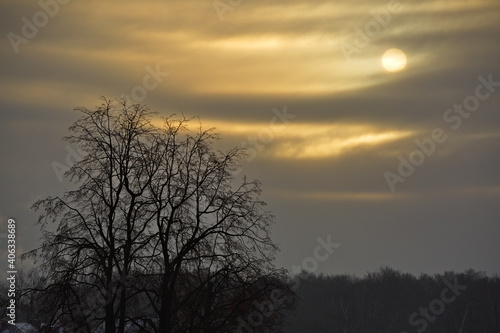Fototapeta Naklejka Na Ścianę i Meble -  Cold sun in the winter cloudy sky.