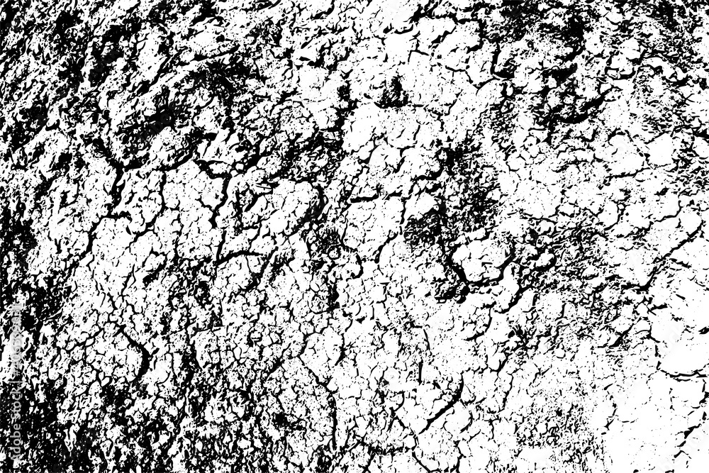 Black and white background. Monochrome grunge background. Abstract texture of dirt, dust, blots, chips. Dirty dirty surface Black and white background. Monochrome grunge background. Abstract texture of dirt, dust, blots, chips. Dirty dirty surface