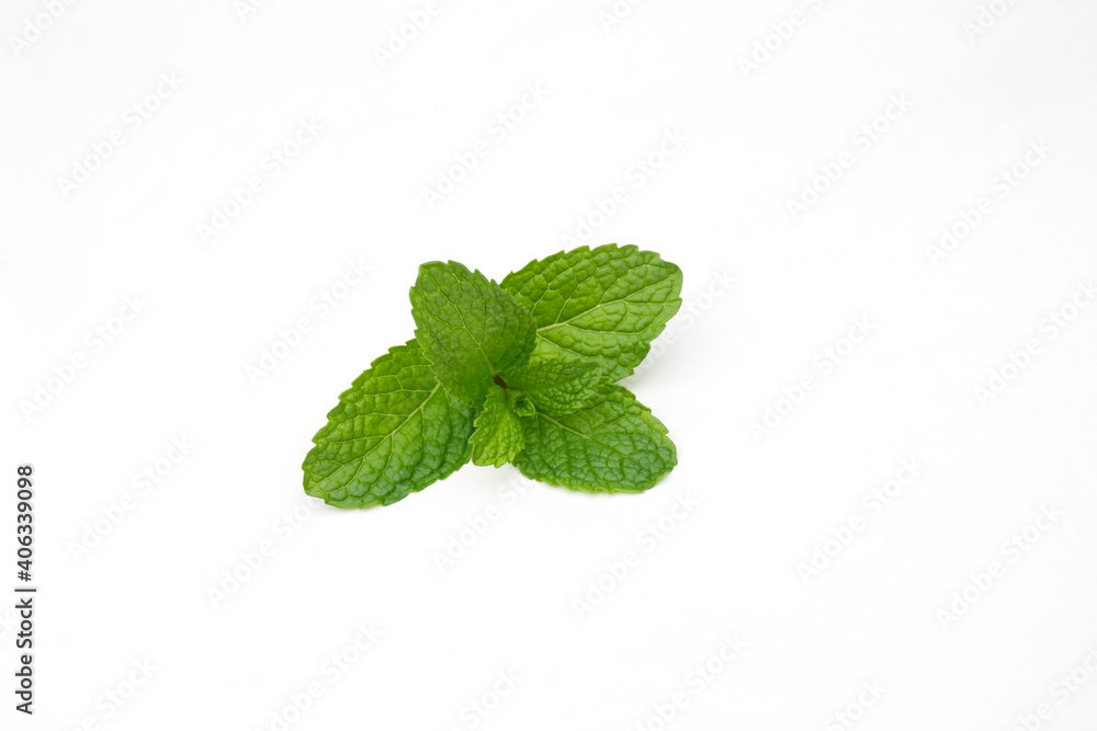 Mint leaf isolated on white background. Mint leaf isolated on white background.