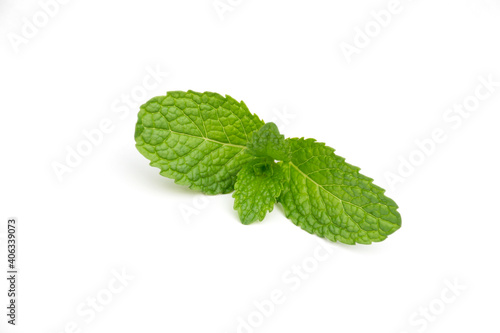 Mint leaf isolated on white background.