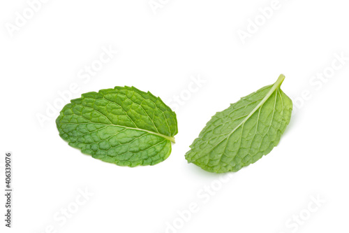 Mint leaf isolated on white background.