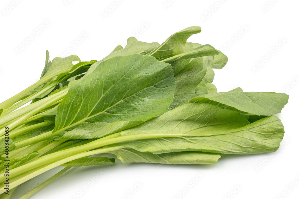 Choy Sum or Chinese Cabbage isolated on white background Choy Sum or Chinese Cabbage isolated on white background