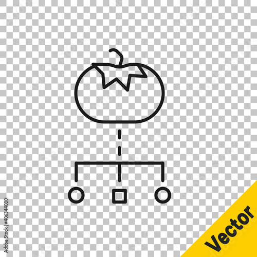 Black line Genetically modified food icon isolated on transparent background. GMO fruit. Vector.