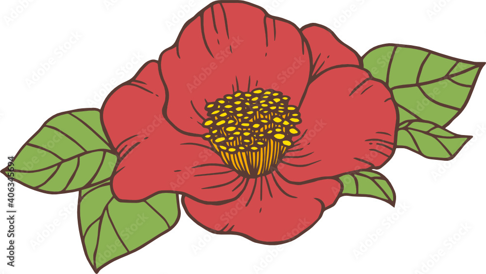 Red Camellia Flower with Leaves Red Camellia Flower with Leaves