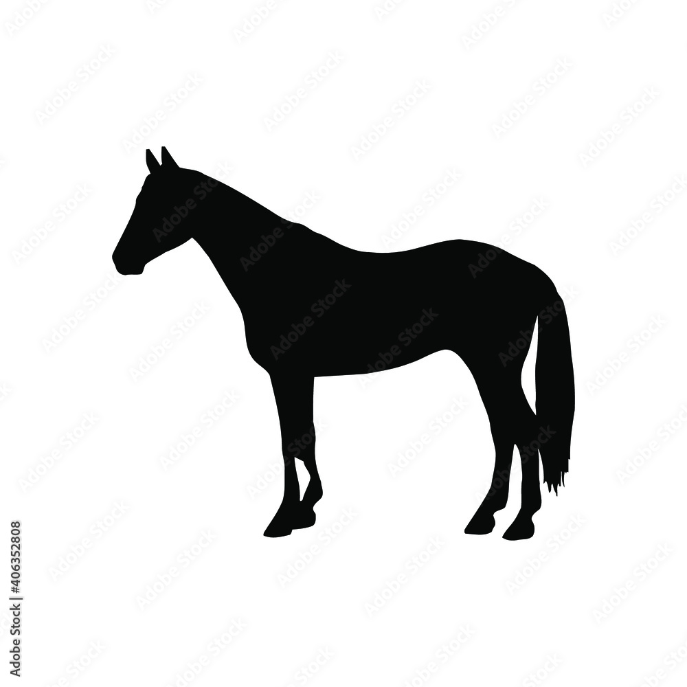 Horse collection - vector silhouette