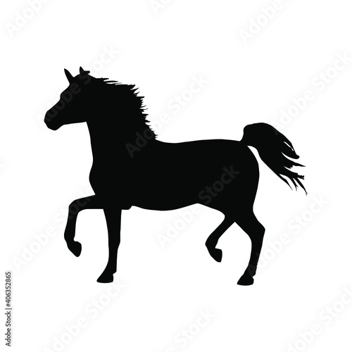 Horse collection - vector silhouette