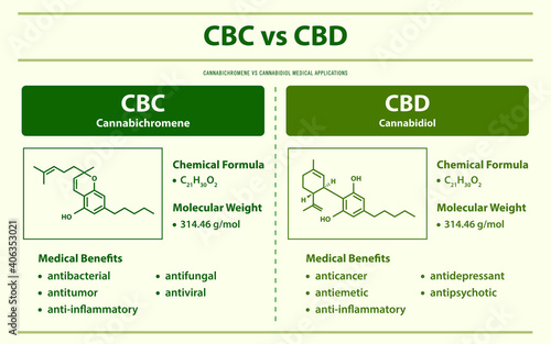 CBC vs CBD, Cannabichromene vs Cannabidiol horizontal infographic illustration about cannabis as herbal alternative medicine and chemical therapy, healthcare and medical science vector.