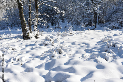 Belgique Wallonie Gaume Habay hiver bois foret nature lac neige