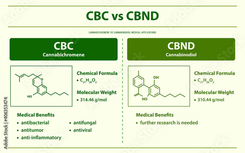 CBC vs CBND, Cannabichromene vs Cannabinodiol horizontal infographic illustration about cannabis as herbal alternative medicine and chemical therapy, healthcare and medical science vector.