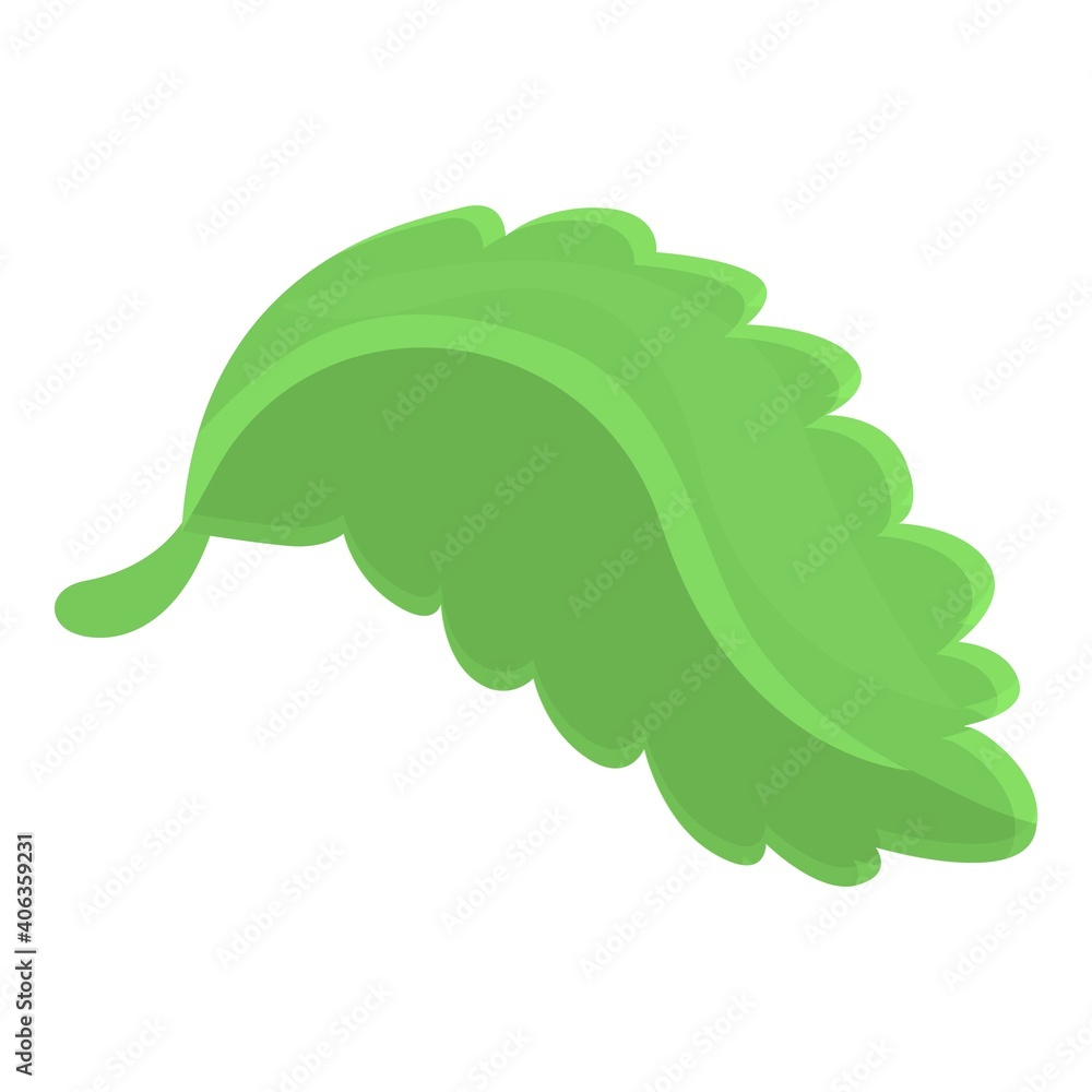 Salad leaf icon. Cartoon of salad leaf vector icon for web design isolated on white background Salad leaf icon. Cartoon of salad leaf vector icon for web design isolated on white background