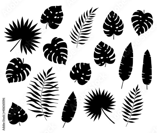 Set of black exotic tropical leaves. Silhouettes of tropical leaves - coconut, Monstera Deliciosa, fan palms, fern, banana. Hand drawn vector elements Isolated on white background. Flat style. 