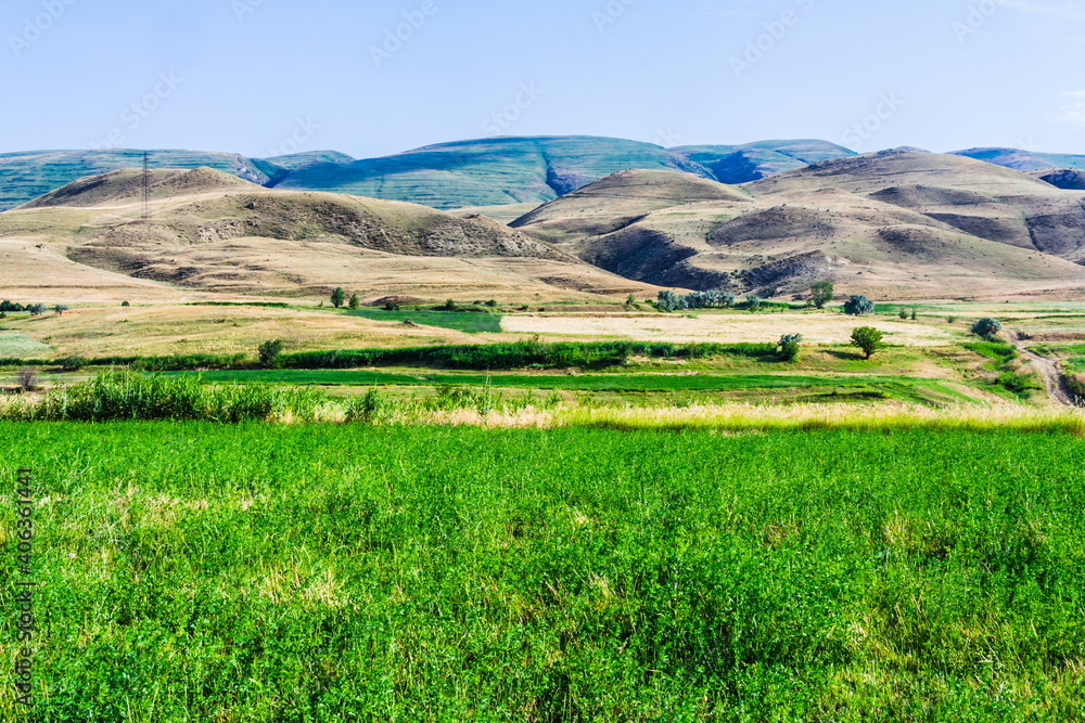 blooming meadows in the hills on a sunny day