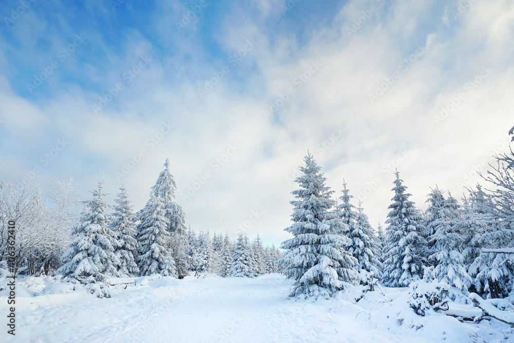 verschneite Winterlandschaft