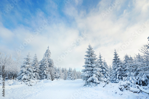 verschneite Winterlandschaft © Jenny Sturm