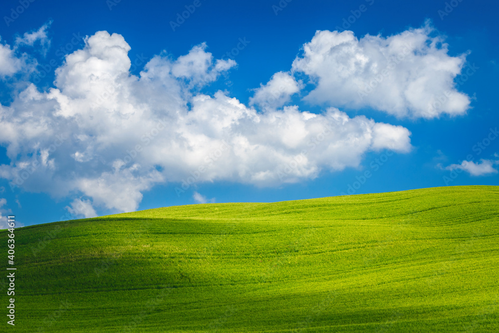 Obraz premium Green fields landscape with blue sky and clouds