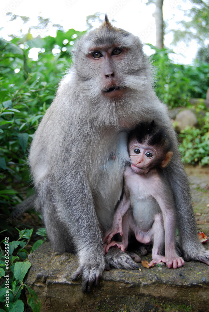 mother and baby