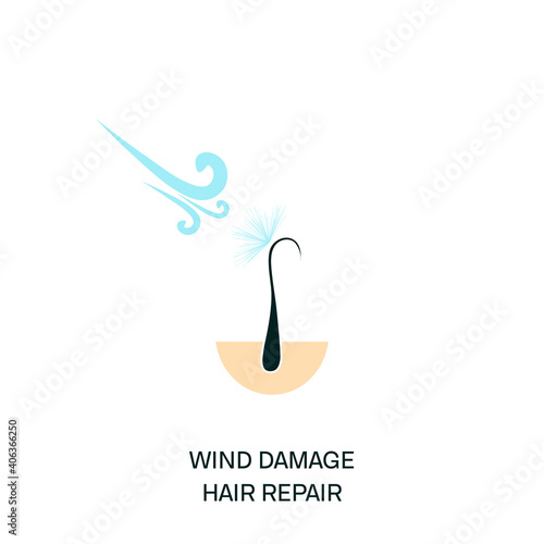 Weather, wind and cold air damage of hair follicles. Hair repair and protection concept. Medical vector illustration.