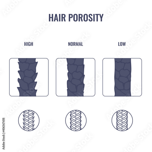 Hair porosity types classification set. Realistic strand with low, normal and high cuticle porosity. Anatomical structure outline scheme. Linear vector illustration.