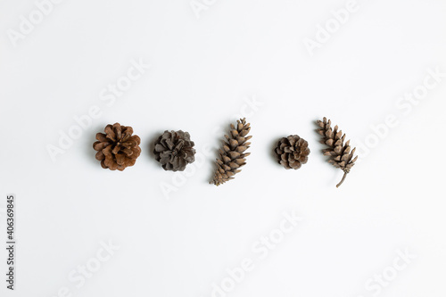 Dry pine cones on white background. flat lay, top view, copy space