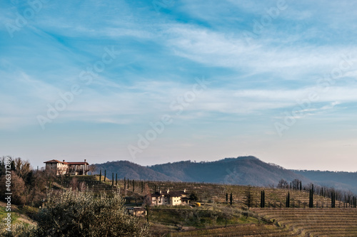 Spring sunset in the vineyards of Collio Friulano