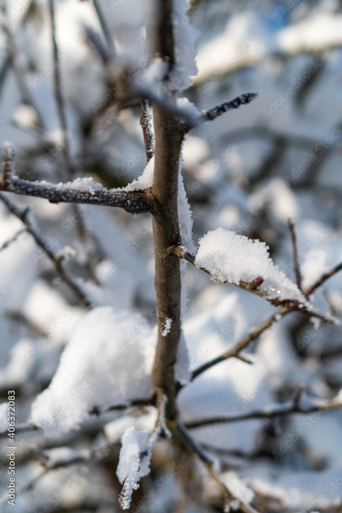 Matzingen im Thurgau vesinkt im Schnee