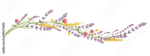 Lavender and summer flowers -- narrow banner. Long border, entwined flowers in the shape of a wave, vector illustration, design element.	