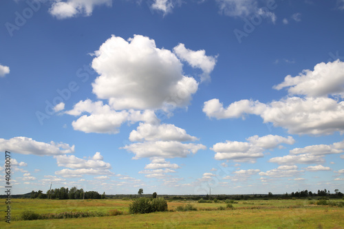 Beautiful summer landscape. Green field. White clouds against the blue sky.