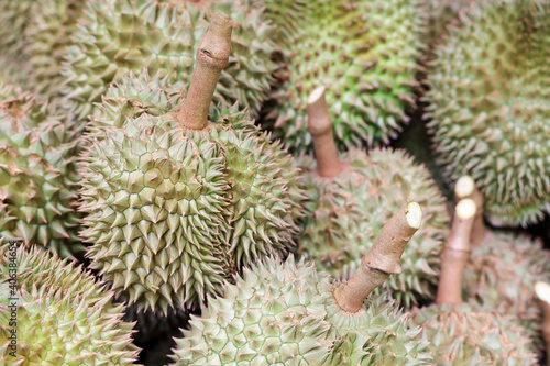 Pile of durians after harvest with another durians on background. Shallow depth of field. Concept for agriculture and tropical fruits.