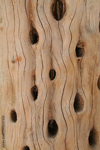 wood texture