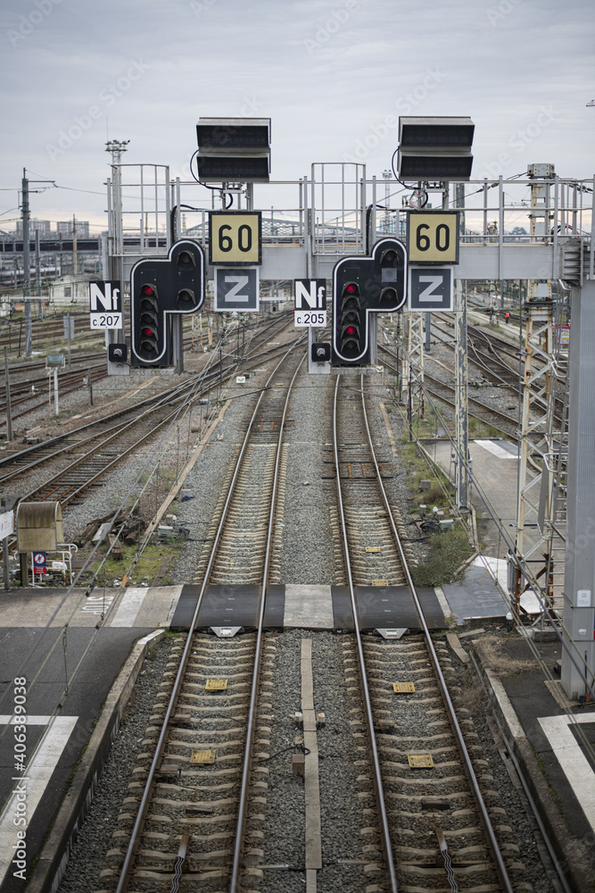 Naklejka premium Les rails
