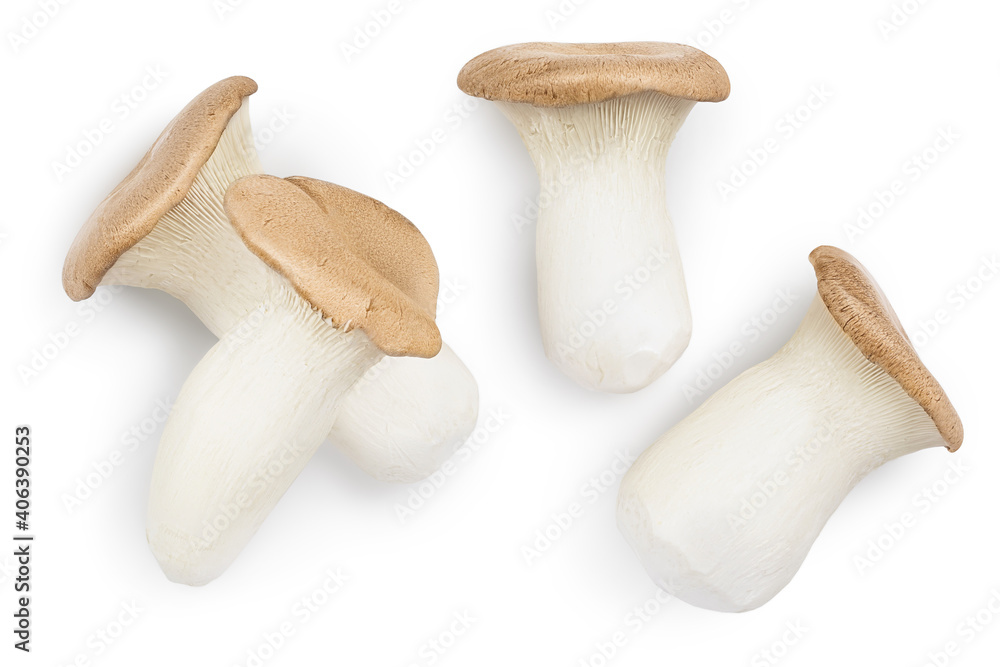 King Oyster mushroom or Eringi isolated on white background with clipping path. Top view. Flat lay King Oyster mushroom or Eringi isolated on white background with clipping path. Top view. Flat lay