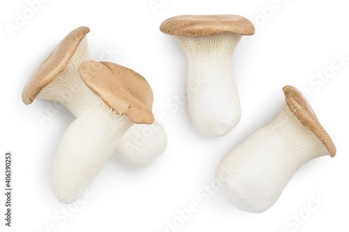 King Oyster mushroom or Eringi isolated on white background with clipping path. Top view. Flat lay