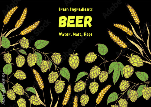 Beer hop illustration. Hand drawn design. Beer ingredients vector illustration.