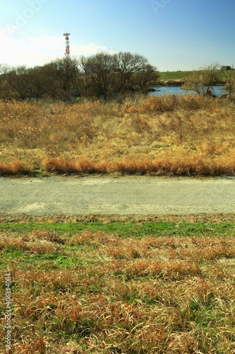 冬の江戸川土手から見る枯れ草のある河川敷風景
