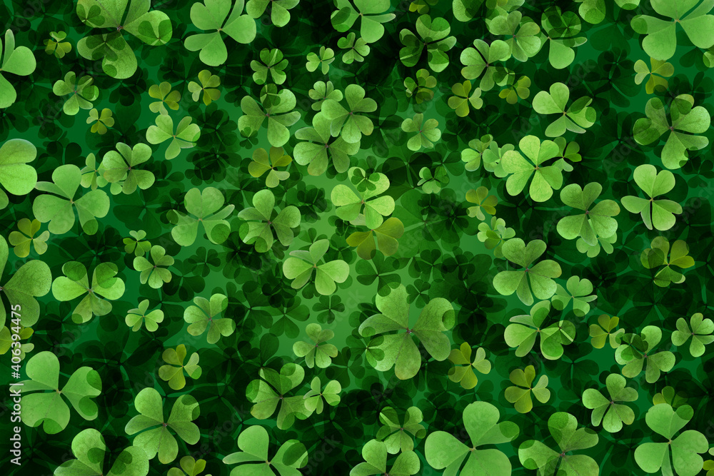 Fresh green clover leaves as background. St. Patrick's Day