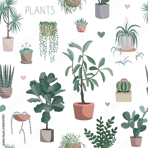 Cute houseplants background. House indoor plant vector cartoon doodle seamless pattern. Potted flowers photo