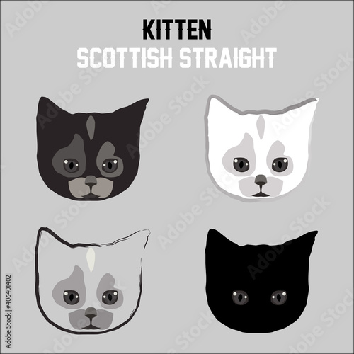 Fototapeta Naklejka Na Ścianę i Meble -  A kitten. Scottish straight cat. Isolated cat silhouette. A pet. Vector illustration for web design or print.