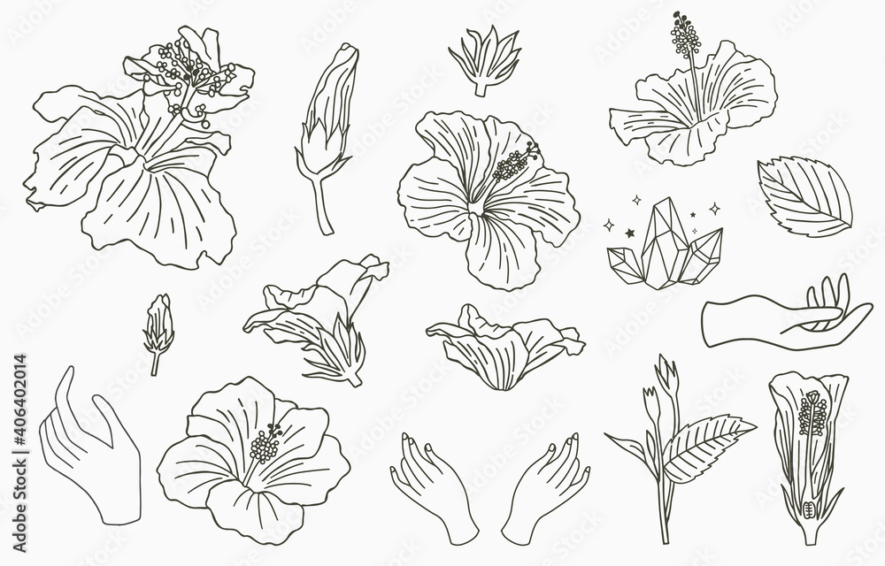 Line flower collection with hibiscus.Vector illustration for icon,sticker,printable and tattoo Line flower collection with hibiscus.Vector illustration for icon,sticker,printable and tattoo