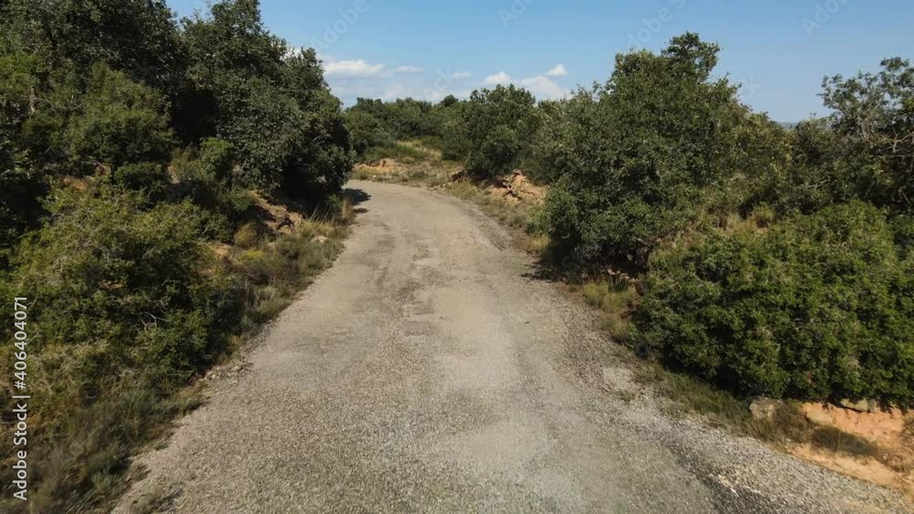 Aerial view following the road between the trees to finally elevate and discover whats behind the trees Aerial view following the road between the trees to finally elevate and discover whats behind the trees