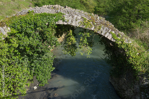 Old stone bridge covered with ivy on the background of a mountain river