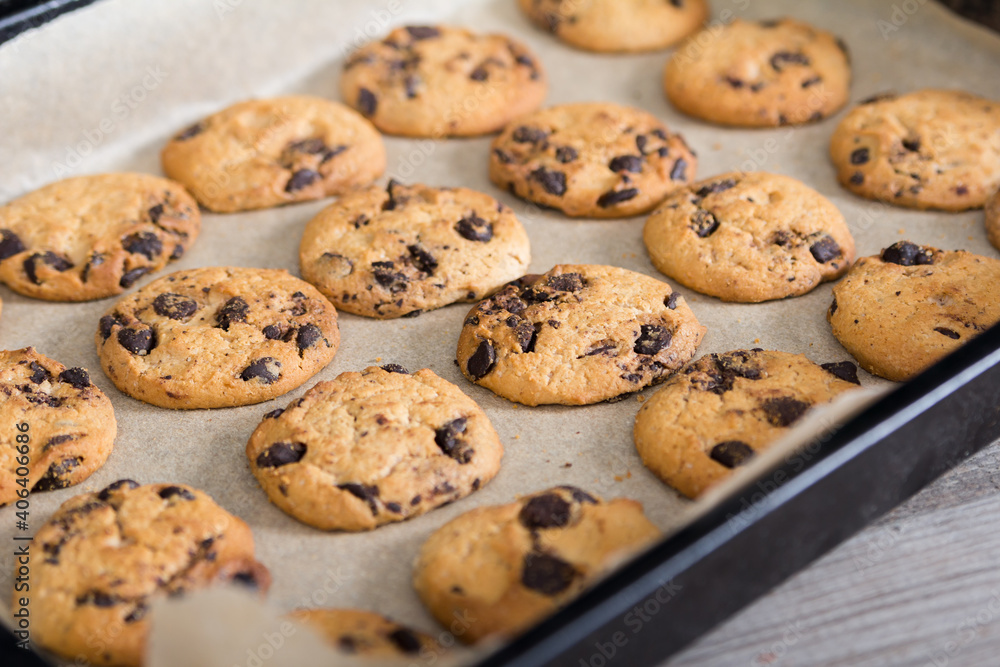 Freshly baked cookies with chocolade chips on baking tray Freshly baked cookies with chocolade chips on baking tray