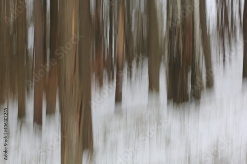 Motion of blurred trees in woods on a snowy day in Germany