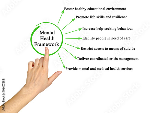 Components of Mental Health Framework