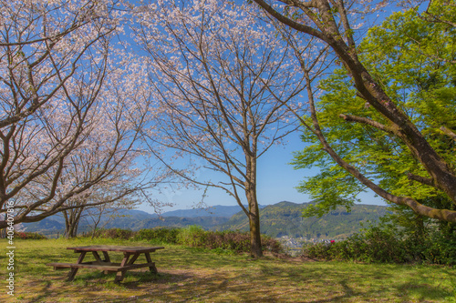 桜と春の風景