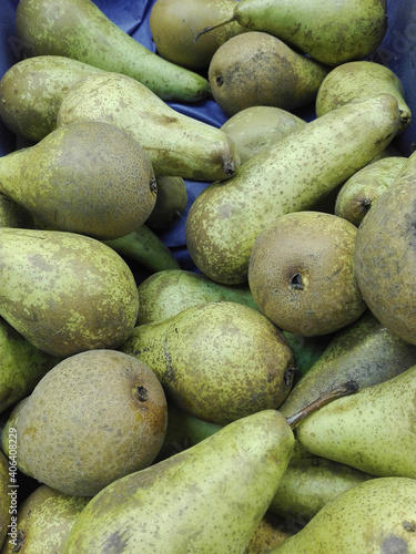 ripe pears  green pears